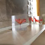 Ana Hotel