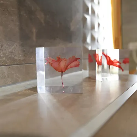 Ana Hotel
